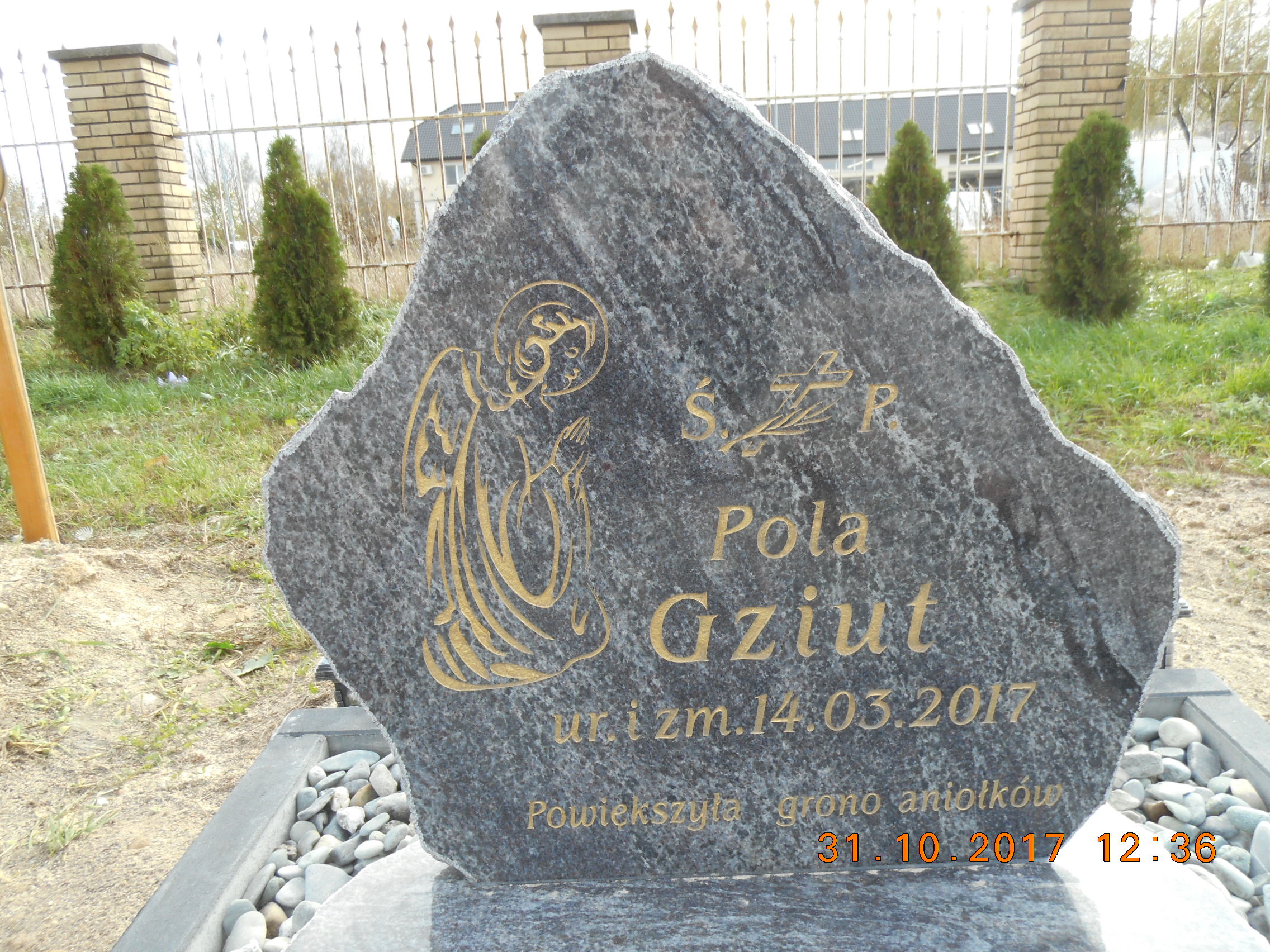 Pola Gziut 2017 Lubartów - Grobonet - Wyszukiwarka osób pochowanych