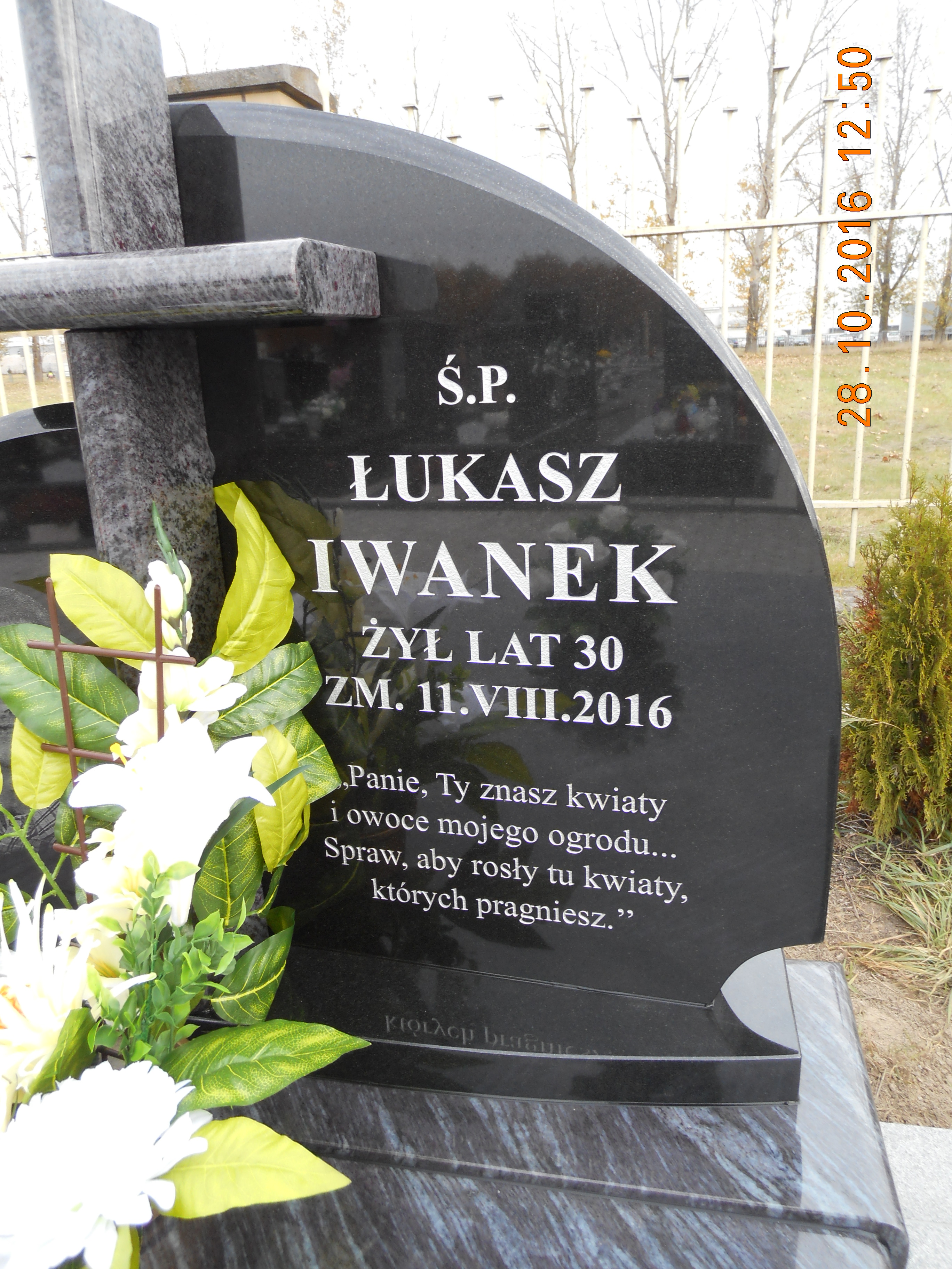 Łukasz Iwanek 2016 Lubartów - Grobonet - Wyszukiwarka osób pochowanych