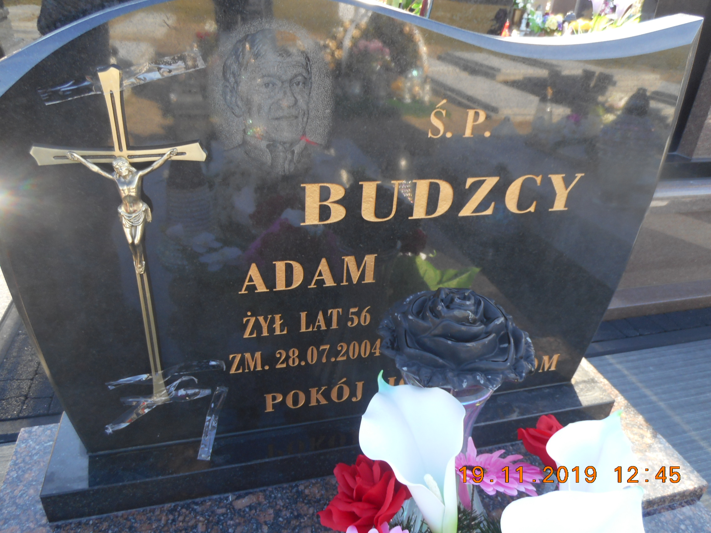 Adam Budzki 1948 Lubartów - Grobonet - Wyszukiwarka osób pochowanych